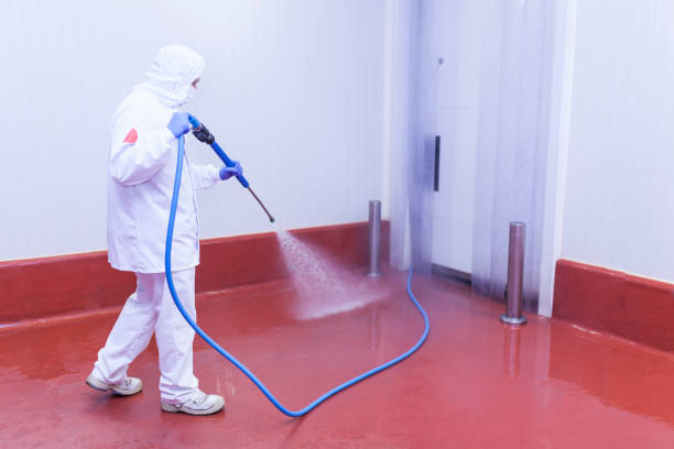 Best Solar Panel Cleaning  in Valle Vista, CA