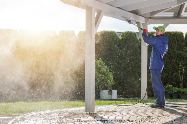 Best Soft Washing  in Valle Vista, CA